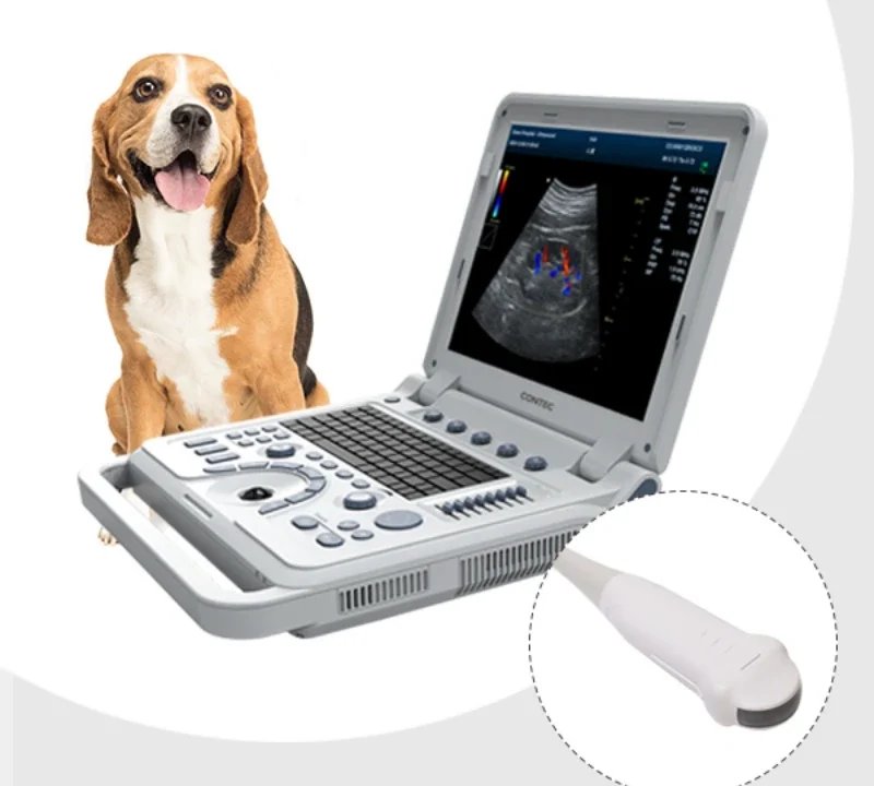 Enhance Veterinary Diagnostics with the CONTEC CMS1700B-VET Color Doppler Ultrasound System